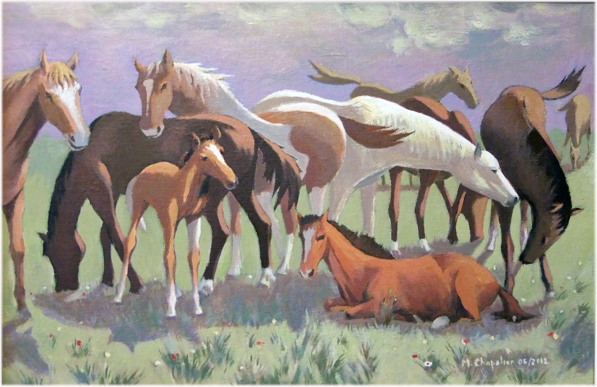 Chevaux au repos