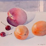 Fruits d'été